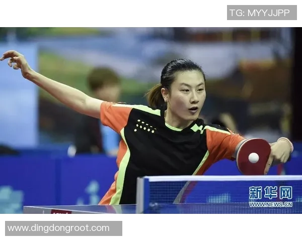 南京乒乓球队的节奏与发展探索聚焦乒乓球运动的未来之路